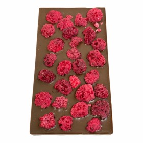 mléčná čokoláda s lyofilizovanými malinami (1)