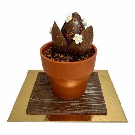 Čokoládový sukulent (3)