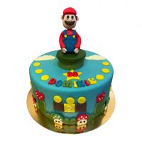 Dort Super Mario Bros č. 1301