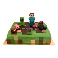 Dort Minecraft obdélník č. 1363